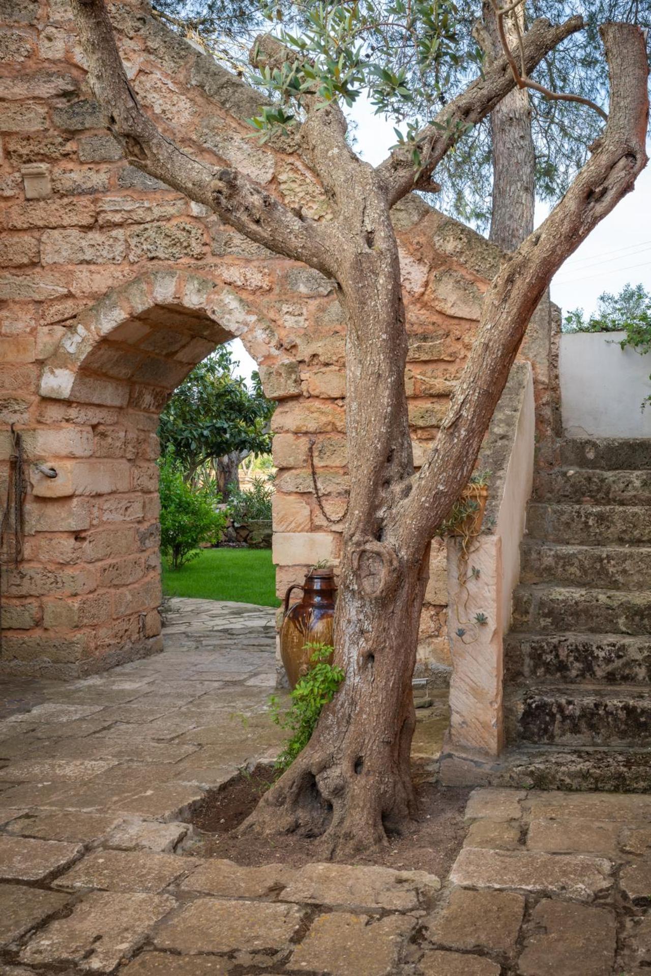 Il Villaggetto Neviano Εξωτερικό φωτογραφία