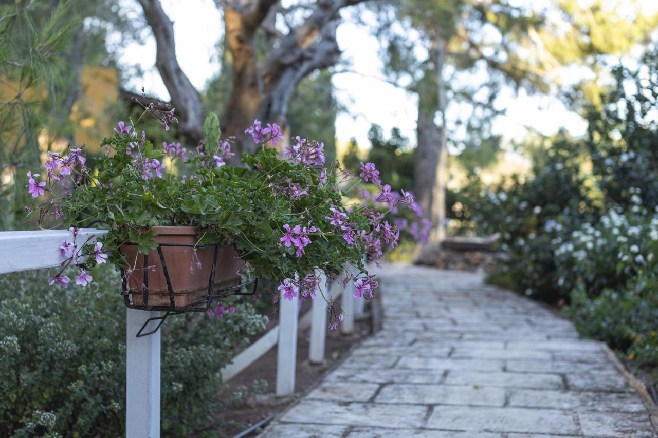 Il Villaggetto Neviano Εξωτερικό φωτογραφία